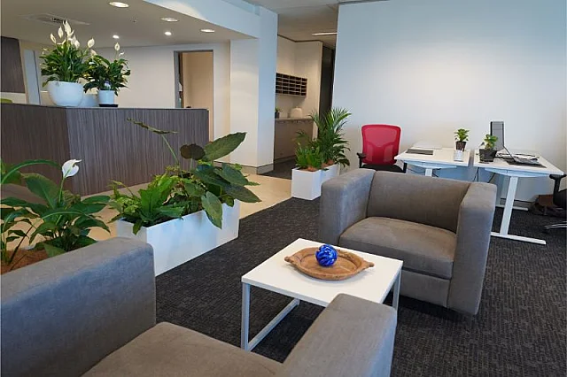 Wyndham Building, Bundall — serviced office interior — photo 2