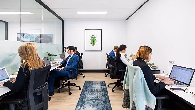 Serviced office at 56 Berry Street,  North Sydney NSW 2060