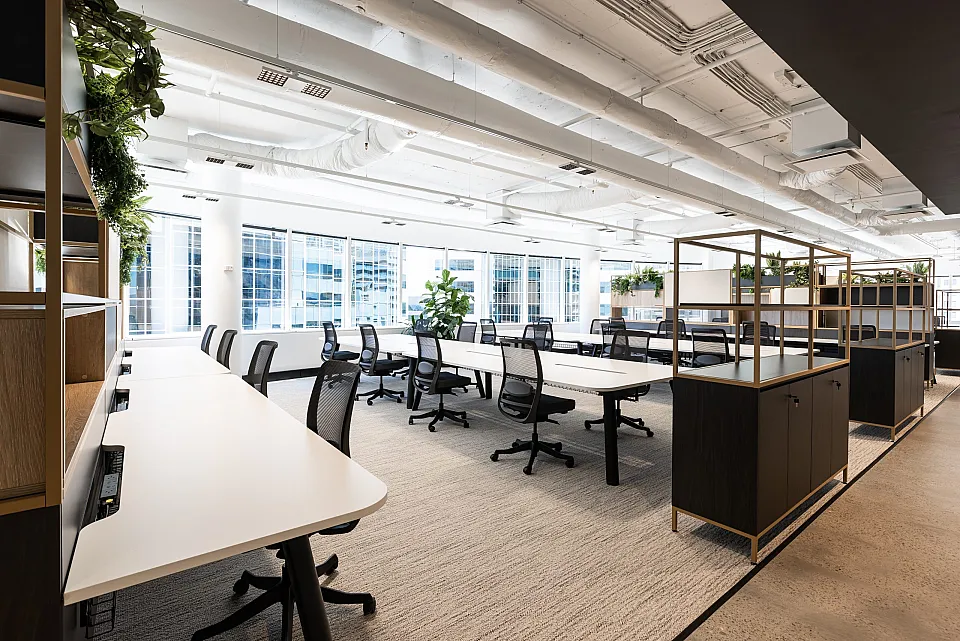 Cirque Chatswood, Chatswood — office interior
