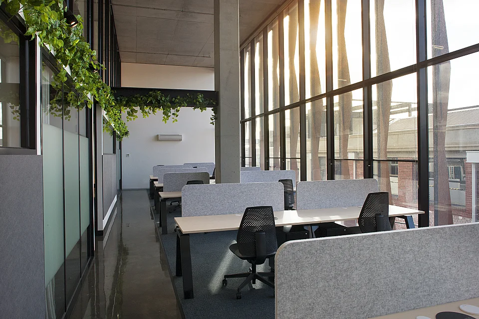 Collective 100, Cremorne — office interior — photo 2