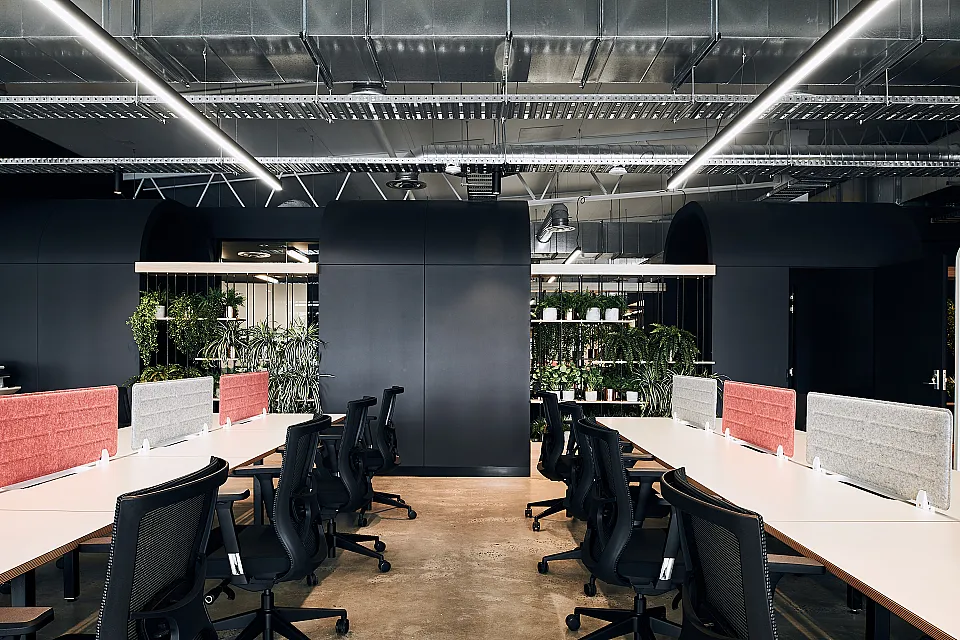 Cubes.Co, Hawthorn — office interior