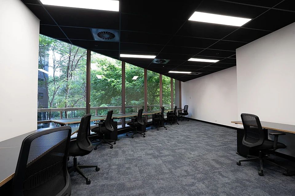 Cubes.Co, Adelaide — office interior — photo 2