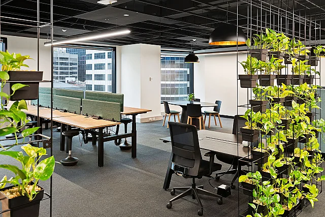 Cubes.Co, Melbourne — serviced office interior — photo 2