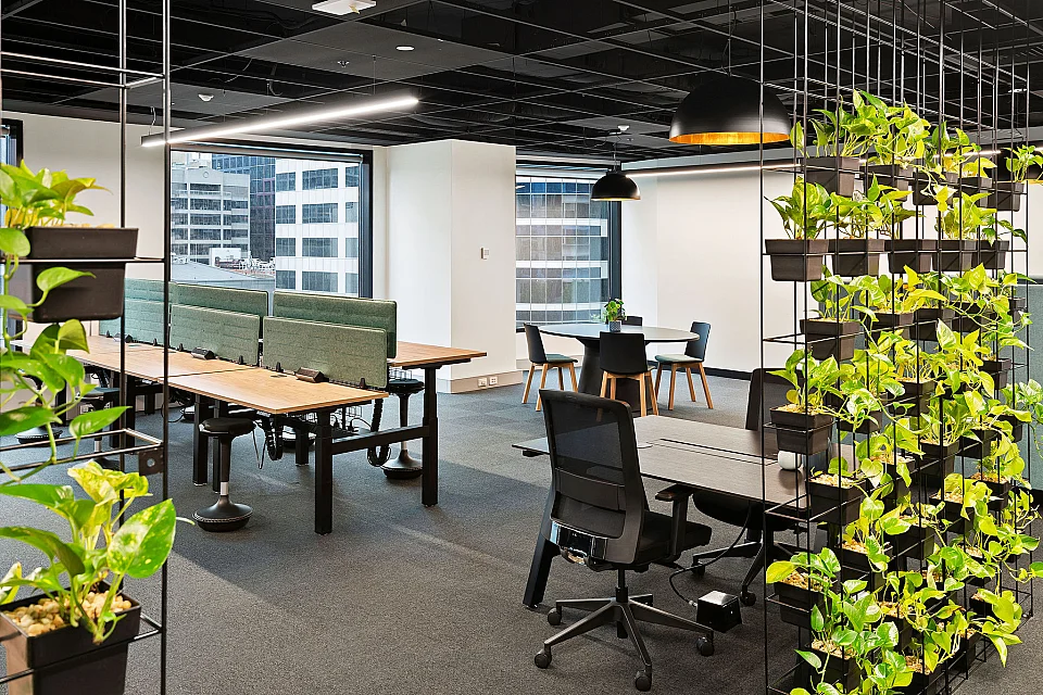 Cubes.Co, Melbourne — office interior — photo 2