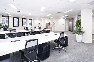 Level 7, Suite 1