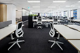 Building B, Suite 1.01