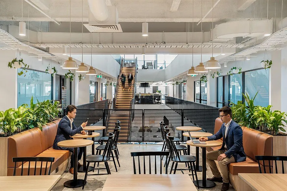 Hub Local Box Hill, Box Hill — office interior