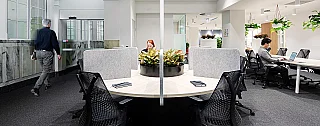 15 Person Office