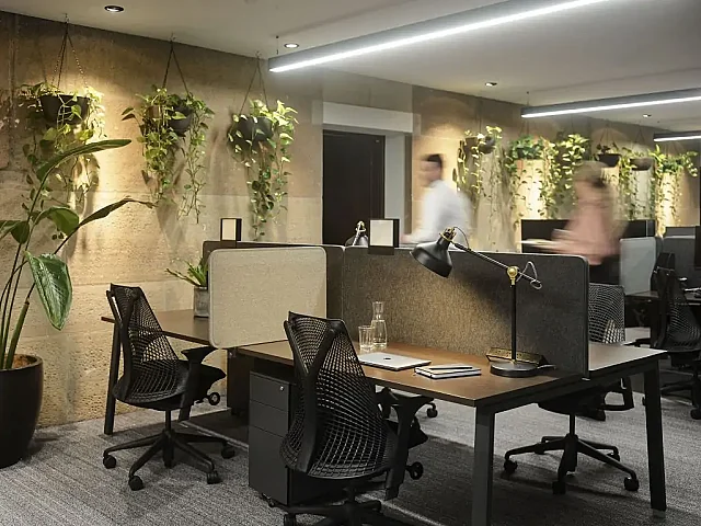 Level 3,  31 Alfred Street,  Sydney NSW 2000