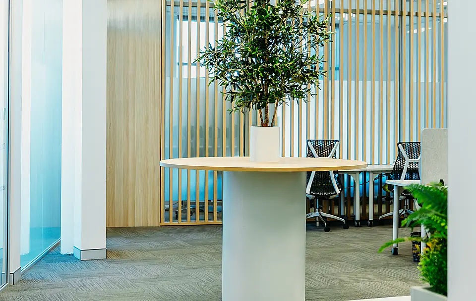 351 Oran Park Drive, Oran Park, serviced office, photo 3