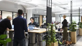 6 Person Office