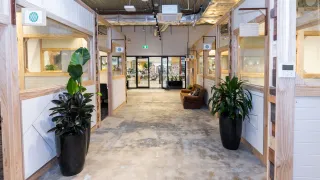244 Macquarie Street, Liverpool, NSW