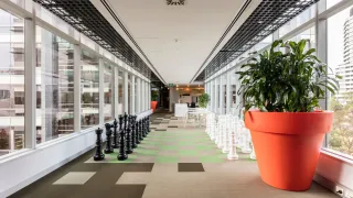 Level 7, Suite 4