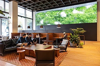 15 Person Office
