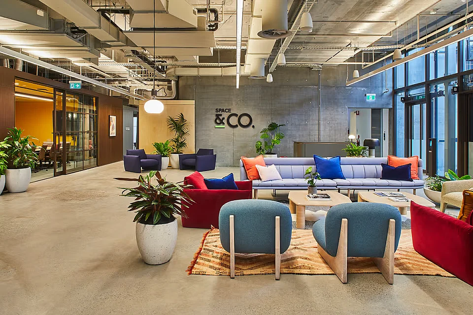 Space&Co, Parramatta — office interior — photo 3