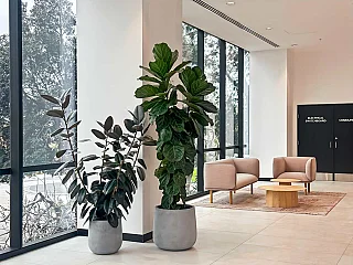 1 Main Street,  Box Hill VIC