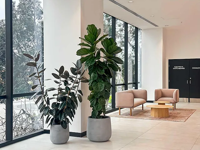 Private office at 1 Main Street,  Box Hill VIC 3128