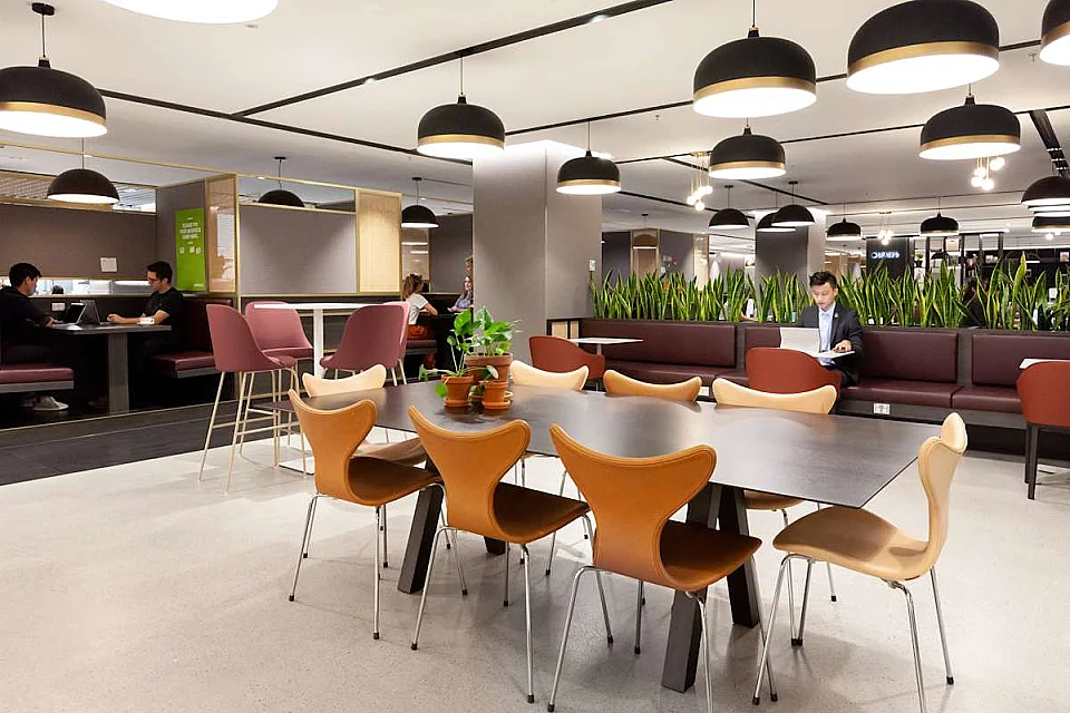 28 Leigh Street, Adelaide — office interior — photo 3