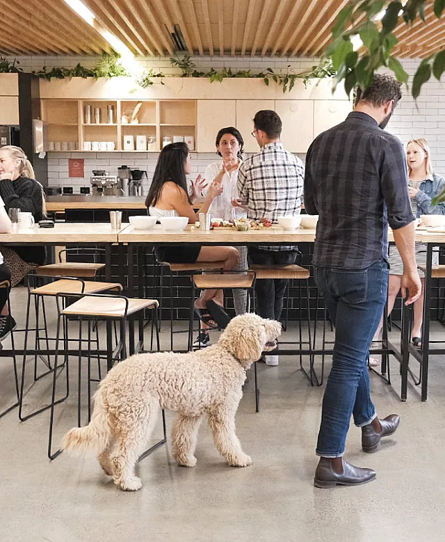 Private office at 80 Market Street,  South Melbourne VIC 3205