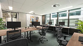 Suite 19