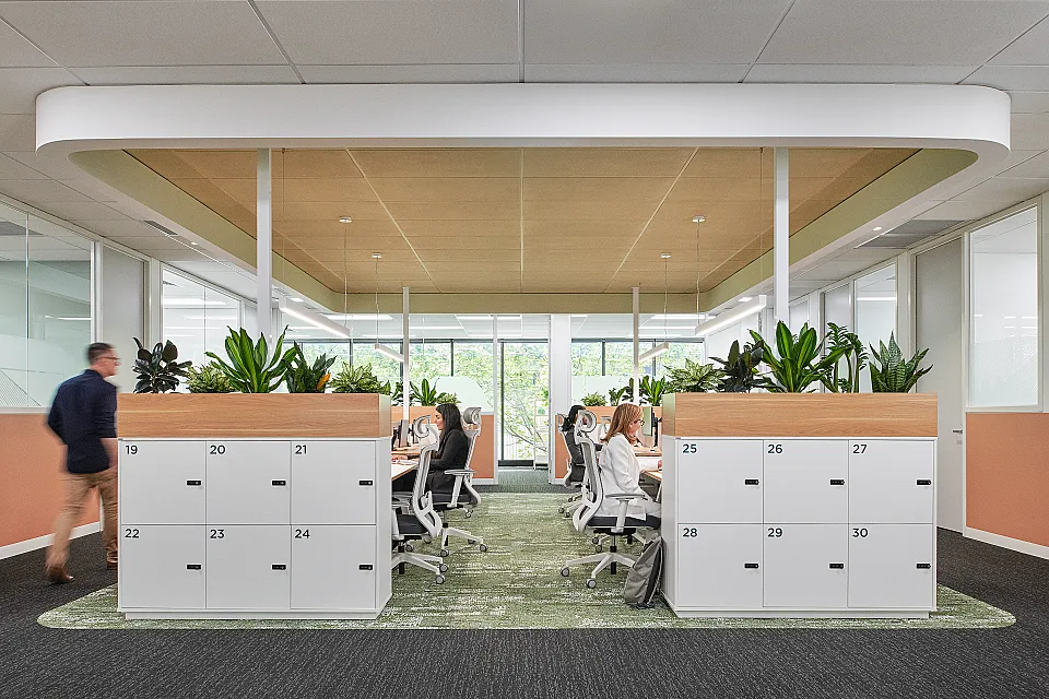 Waterman, Moonee Ponds — office interior