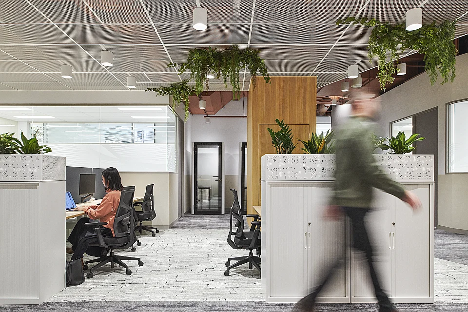 Waterman, Camberwell — office interior — photo 3