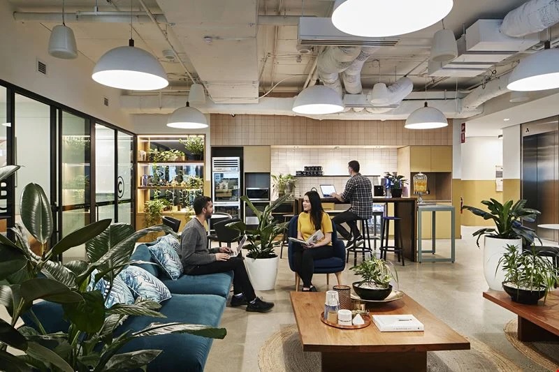 Serviced office at 333 George Street,  Sydney NSW 2000