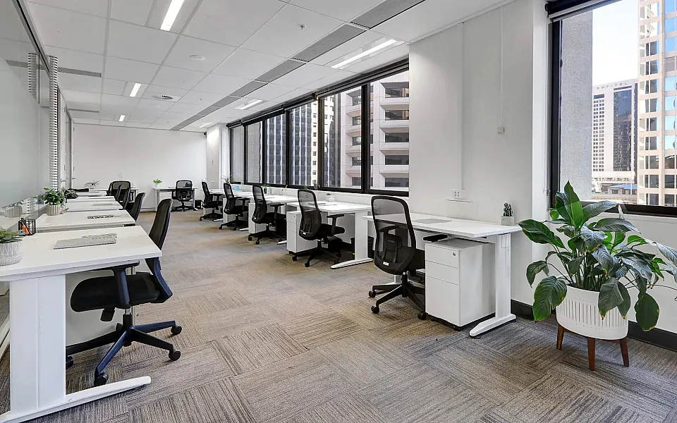 Workspace365, Bondi Junction — office interior