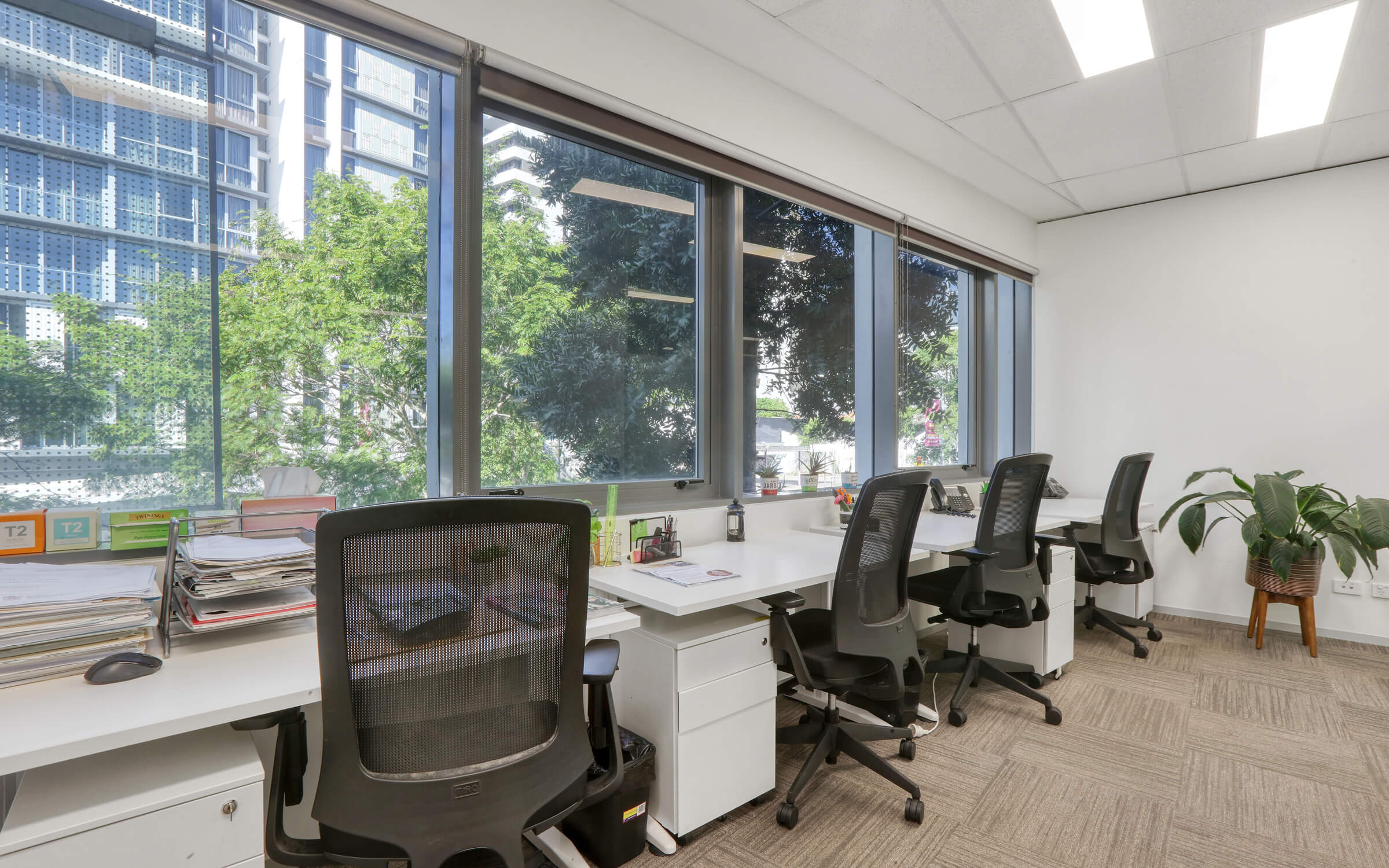 Serviced office at 1024 Ann Street,  Fortitude Valley QLD 4006
