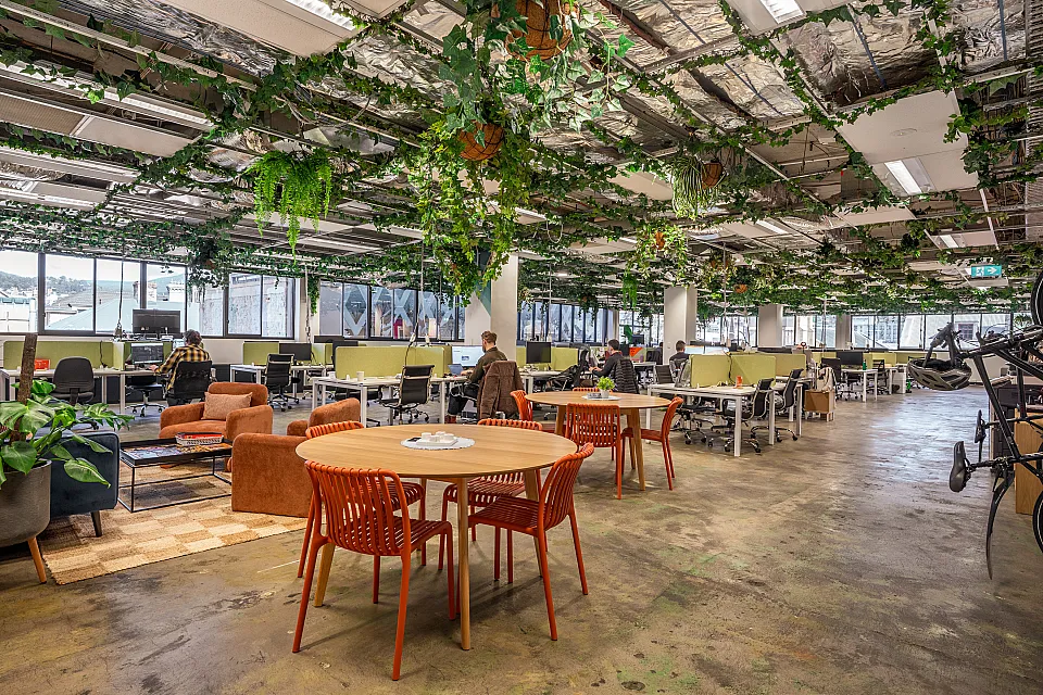 WOTSO, Hobart — office interior