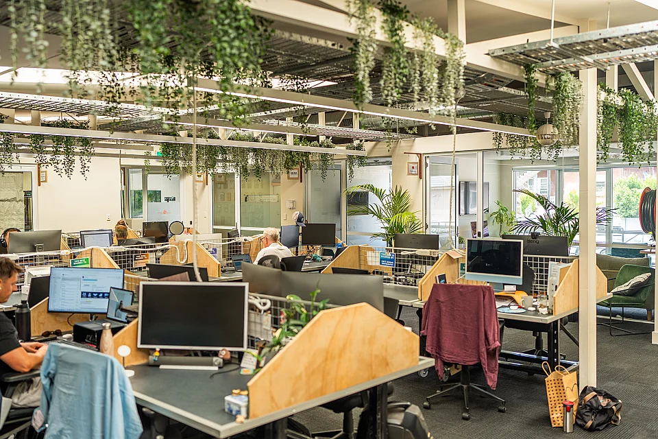 WOTSO, Brookvale — office interior — photo 3