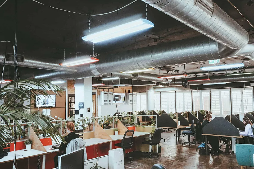 WOTSO Neutral Bay, Neutral Bay — office interior