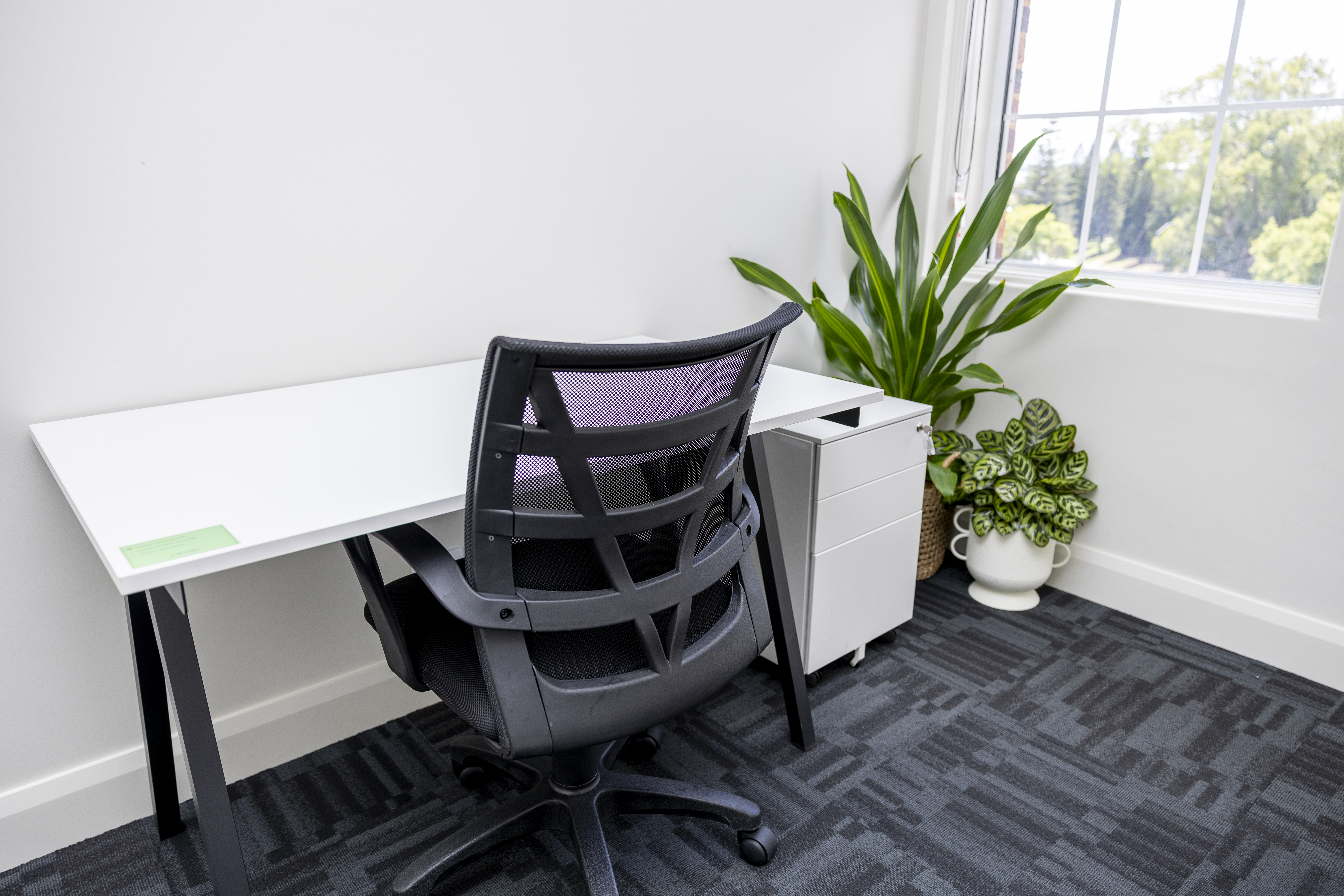 Serviced office at 123 Margaret St,  Toowoomba QLD 4350